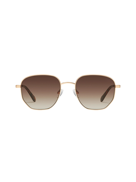 Big Time Sunnies in Brush Gold/Brn